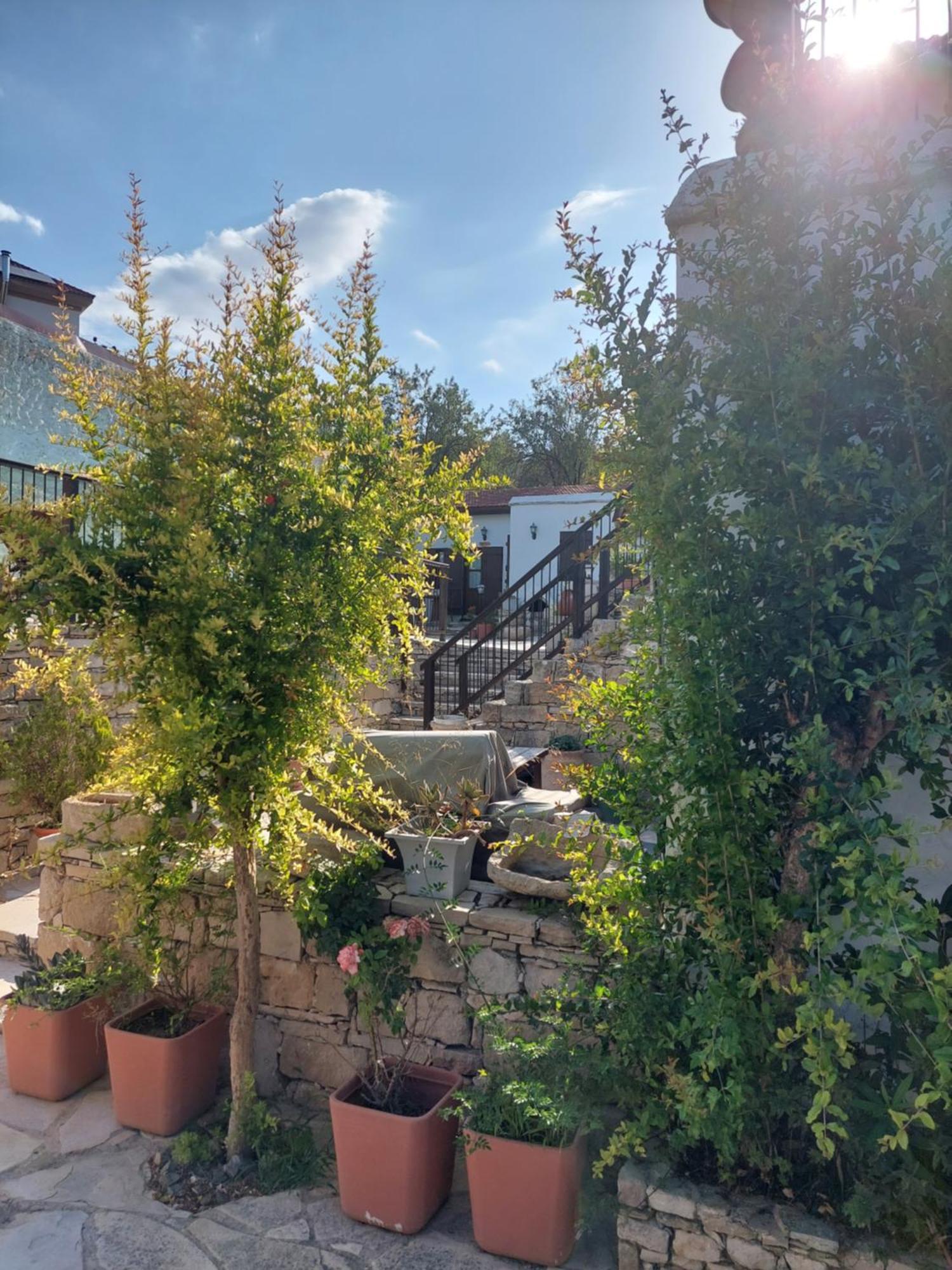 Avalon Village Houses リマソール エクステリア 写真