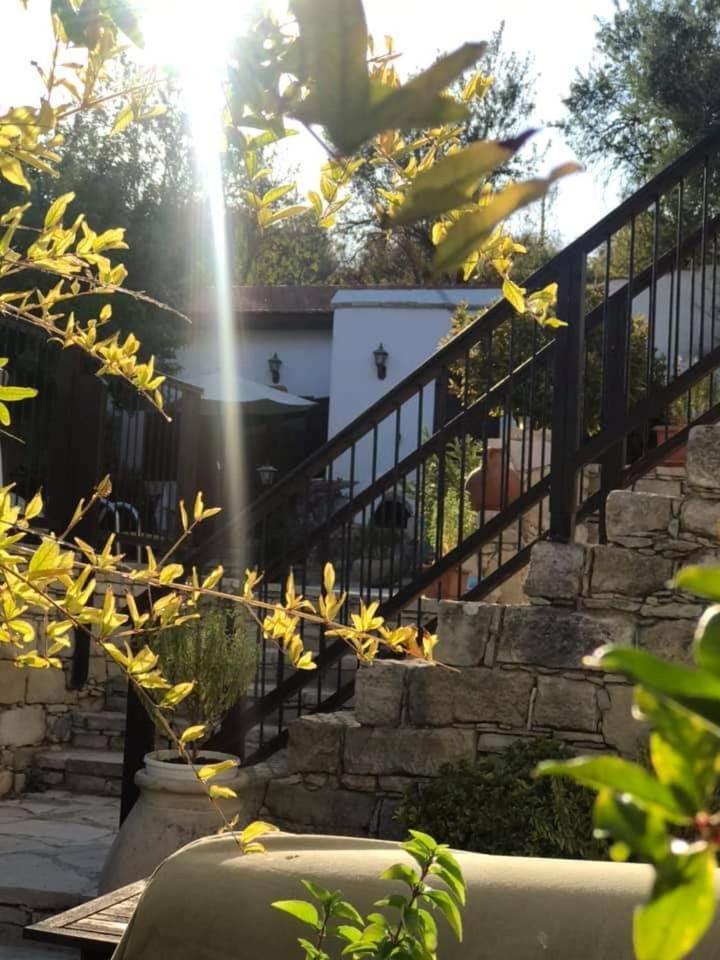 Avalon Village Houses リマソール エクステリア 写真